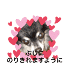 ☆愛犬☆（個別スタンプ：8）