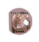 ゴールデンレトリバーのエイト君（個別スタンプ：6）