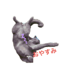 キキ☆ジジ（個別スタンプ：4）