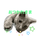 キキ☆ジジ（個別スタンプ：10）