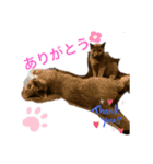 キキ☆ジジ（個別スタンプ：11）