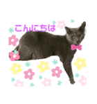キキ☆ジジ（個別スタンプ：14）