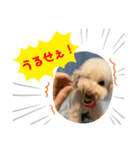 ありすんの日常（個別スタンプ：2）