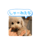 ありすんの日常（個別スタンプ：3）