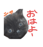 みんなのお姫様（個別スタンプ：1）
