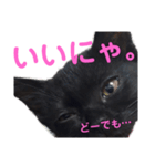 みんなのお姫様（個別スタンプ：3）