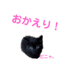 みんなのお姫様（個別スタンプ：5）