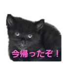 みんなのお姫様（個別スタンプ：6）
