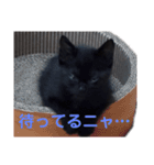 みんなのお姫様（個別スタンプ：7）