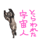 みんなのお姫様（個別スタンプ：15）