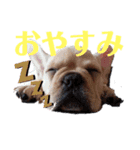 ばうくん（個別スタンプ：1）