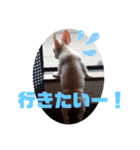 ばうくん（個別スタンプ：2）