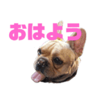 ばうくん（個別スタンプ：9）