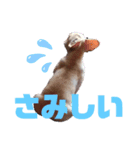 ばうくん（個別スタンプ：12）
