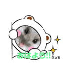 kuma♡♡ハム日常（個別スタンプ：2）