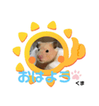 kuma♡♡ハム日常（個別スタンプ：3）
