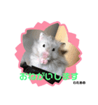 kuma♡♡ハム日常（個別スタンプ：4）