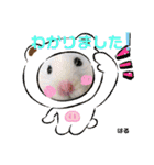 kuma♡♡ハム日常（個別スタンプ：5）
