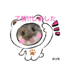 kuma♡♡ハム日常（個別スタンプ：6）