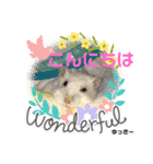 kuma♡♡ハム日常（個別スタンプ：7）