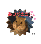 kuma♡♡ハム日常（個別スタンプ：11）