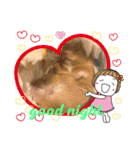 kuma♡♡ハム日常（個別スタンプ：13）