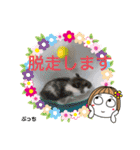 kuma♡♡ハム日常（個別スタンプ：17）