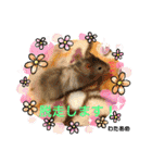 kuma♡♡ハム日常（個別スタンプ：18）