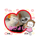 kuma♡♡ハム日常（個別スタンプ：19）