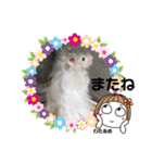 kuma♡♡ハム日常（個別スタンプ：21）