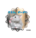 kuma♡♡ハム日常（個別スタンプ：22）
