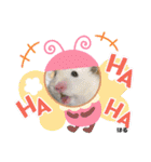 kuma♡♡ハム日常（個別スタンプ：25）
