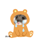 kuma♡♡ハム日常（個別スタンプ：27）