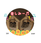 kuma♡♡ハム日常（個別スタンプ：32）