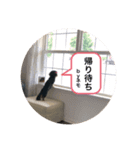 ハナネモ2（個別スタンプ：1）