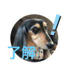 ハナネモ2（個別スタンプ：3）
