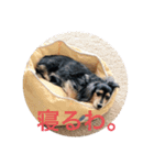 ハナネモ2（個別スタンプ：5）
