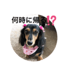 ハナネモ2（個別スタンプ：7）