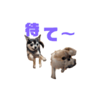 ムー＆くぅ1（個別スタンプ：3）