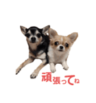ムー＆くぅ1（個別スタンプ：5）