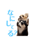 ムー＆くぅ1（個別スタンプ：11）