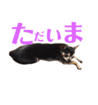 ムー＆くぅ1（個別スタンプ：13）