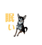 ムー＆くぅ1（個別スタンプ：14）