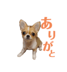 ムー＆くぅ1（個別スタンプ：16）