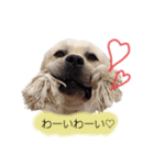 ラブラドールは祭くん(2)（個別スタンプ：3）