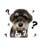 もりした ふく です。（個別スタンプ：2）