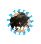 もりした ふく です。（個別スタンプ：4）