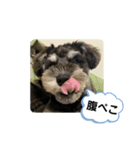 もりした ふく です。（個別スタンプ：11）