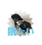 もりした ふく です。（個別スタンプ：12）