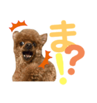 てんこのスタンプ♡（個別スタンプ：2）